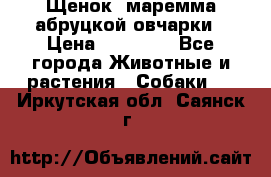 Щенок  маремма абруцкой овчарки › Цена ­ 50 000 - Все города Животные и растения » Собаки   . Иркутская обл.,Саянск г.